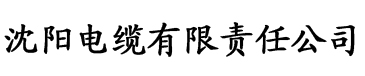 亚洲第一一区二区三区四区电缆厂logo